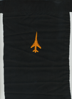 357-TFS-F-105-Korat-RTAFB-1965.png